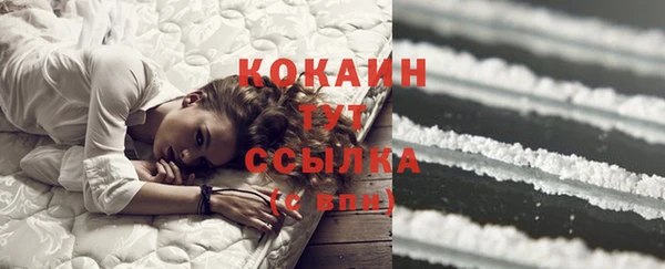 спайс Алзамай