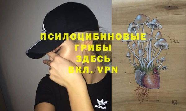 2c-b Алексеевка